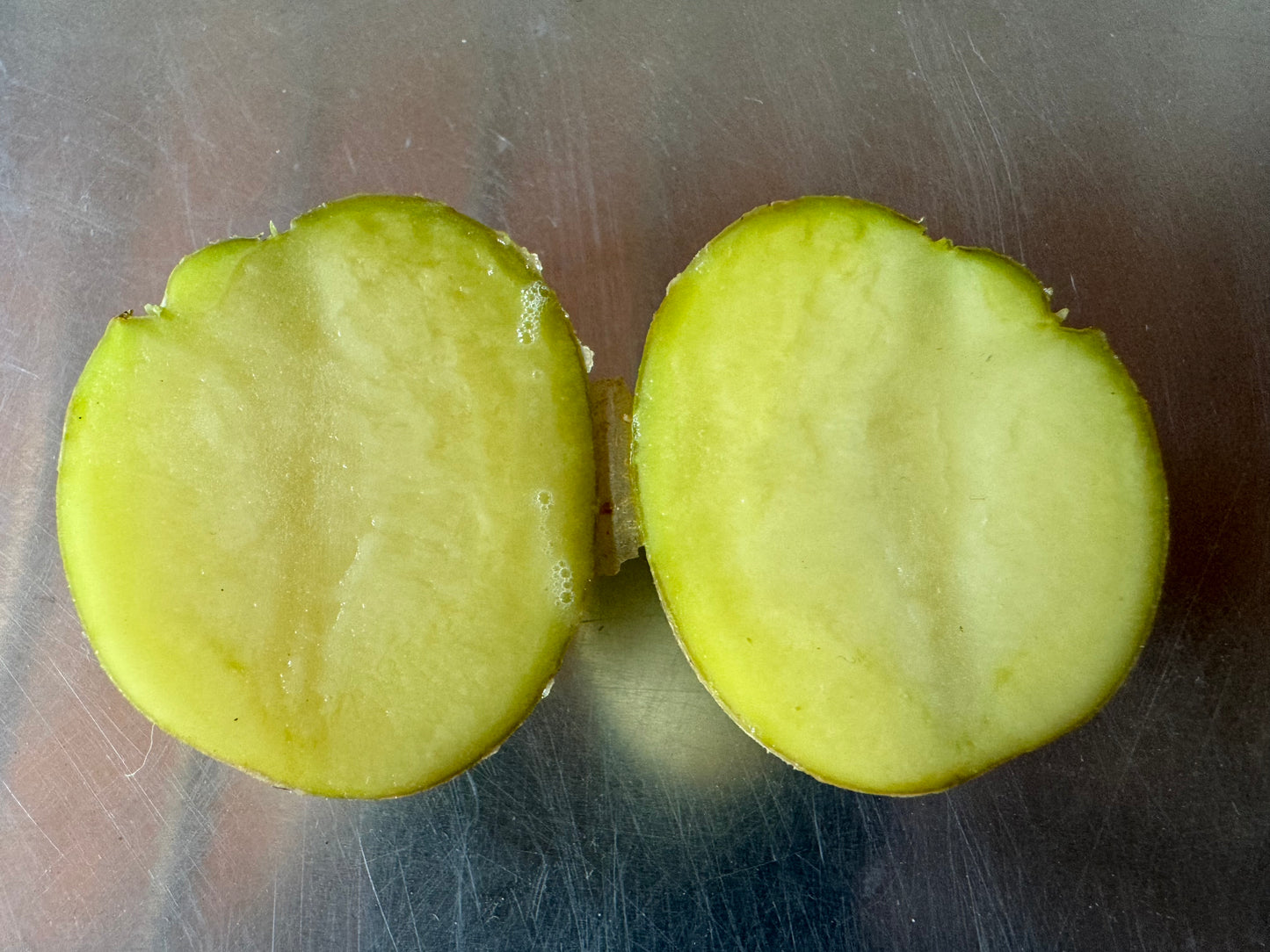 Ultra Clean Virus-free Potato